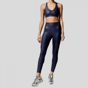 isinxibo esisebenzayo esishicilelweyo